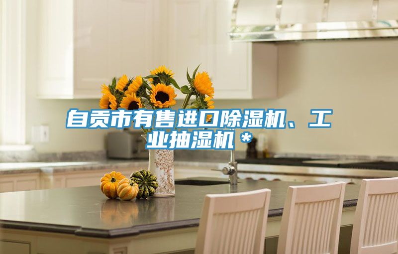 自贡市有售进口除湿机、工业抽湿机＊