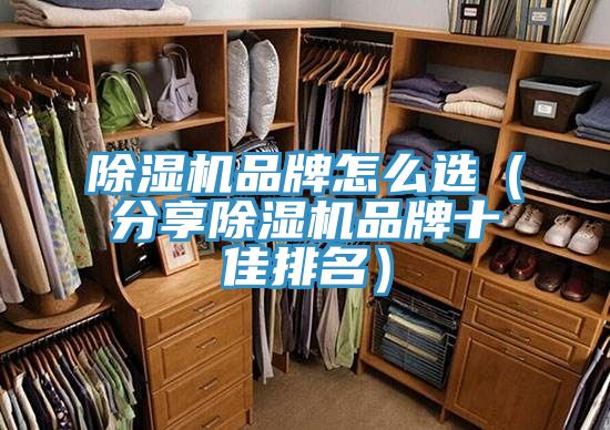 除湿机品牌怎么?。ǚ窒沓放剖雅琶?></div>
								<div class=