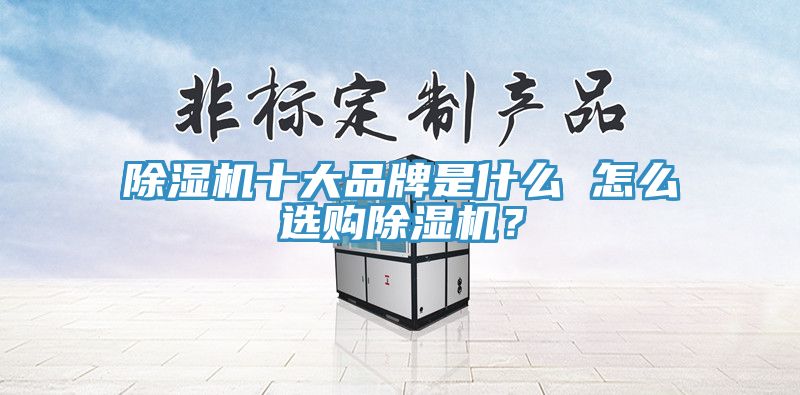 除湿机十大品牌是什么 怎么选购除湿机？
