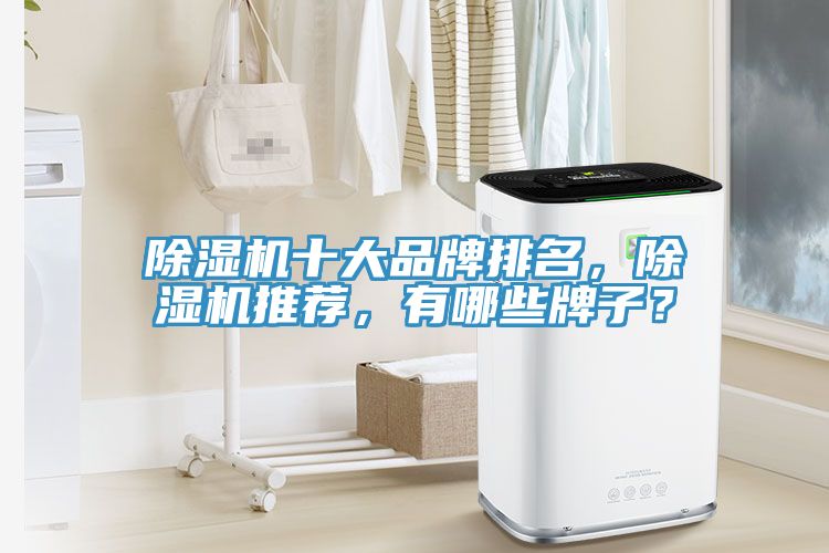 除湿机十大品牌排名，除湿机推荐，有哪些牌子？