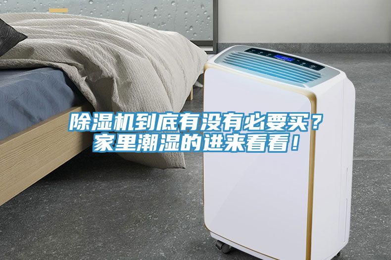 除湿机到底有没有必要买？家里潮湿的进来看看！