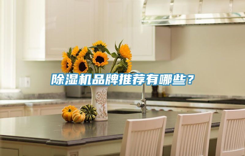 除湿机品牌推荐有哪些？