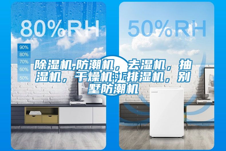 除湿机,防潮机，去湿机，抽湿机，干燥机，排湿机，别墅防潮机
