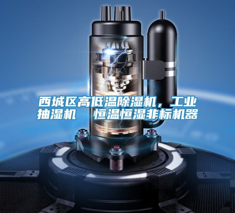 西城区高低温除湿机，工业抽湿机  恒温恒湿非标机器