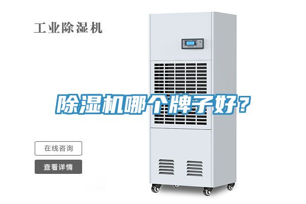 除湿机哪个牌子好？