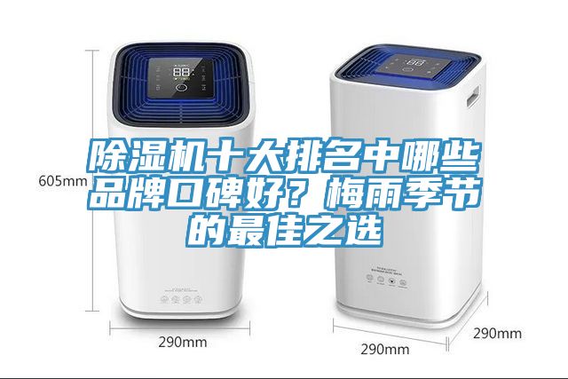 除湿机十大排名中哪些品牌口碑好？梅雨季节的最佳之选