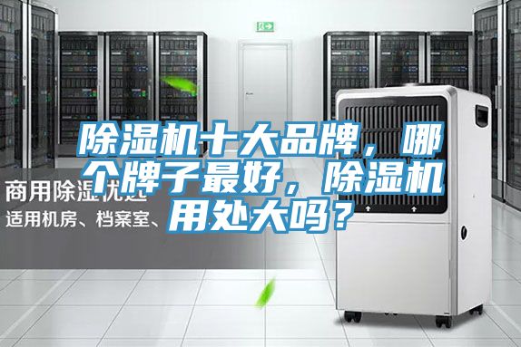 除湿机十大品牌，哪个牌子最好，除湿机用处大吗？
