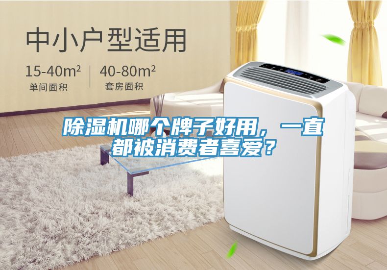 除湿机哪个牌子好用，一直都被消费者喜爱？