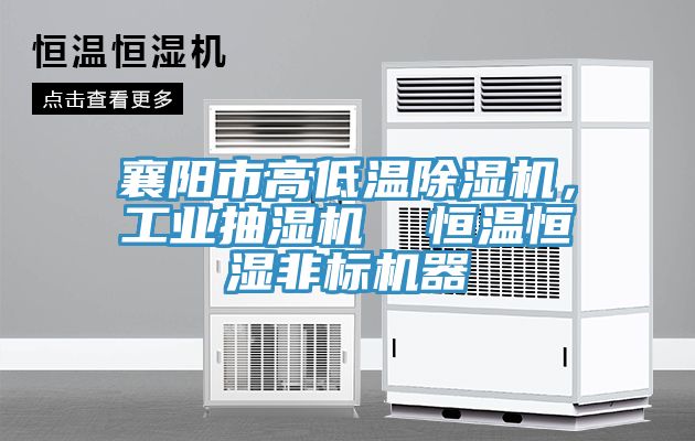 襄阳市高低温除湿机，工业抽湿机  恒温恒湿非标机器