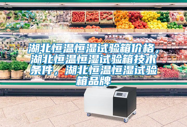 湖北恒温恒湿试验箱价格，湖北恒温恒湿试验箱技术条件，湖北恒温恒湿试验箱品牌