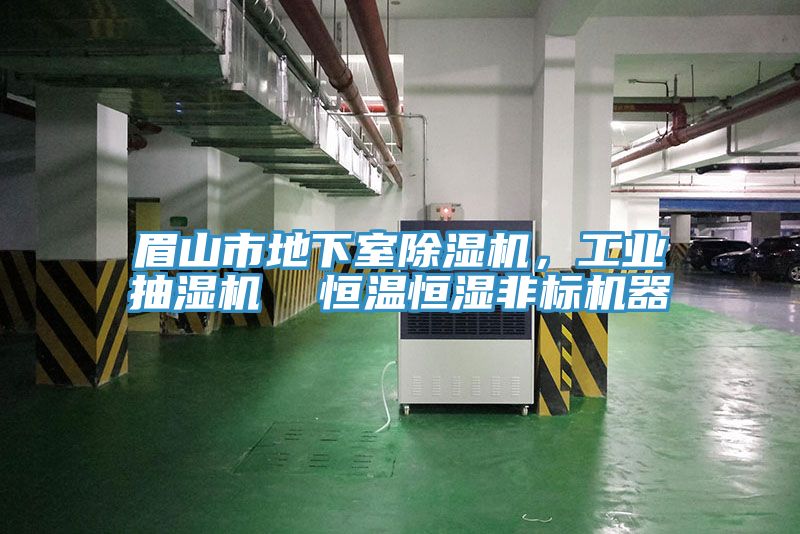 眉山市地下室除湿机，工业抽湿机  恒温恒湿非标机器