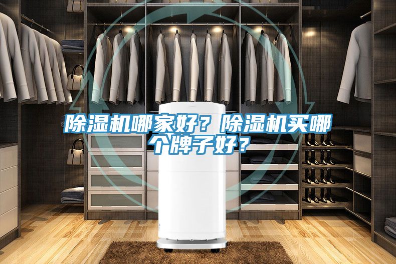 除湿机哪家好？除湿机买哪个牌子好？