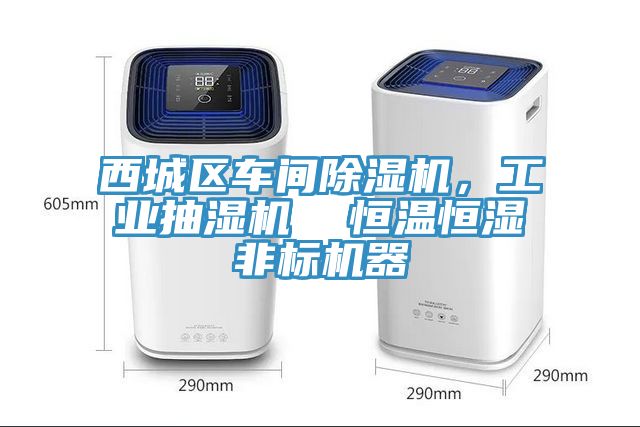西城区车间除湿机，工业抽湿机  恒温恒湿非标机器