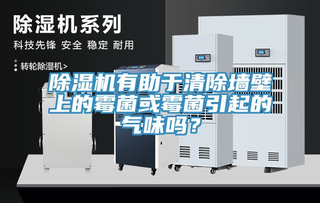 除濕機(jī)有助于清除墻壁上的霉菌或霉菌引起的氣味嗎？