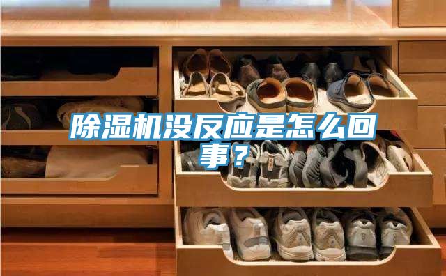 除濕機(jī)沒(méi)反應(yīng)是怎么回事？