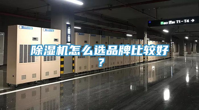 除湿机怎么选品牌比较好？
