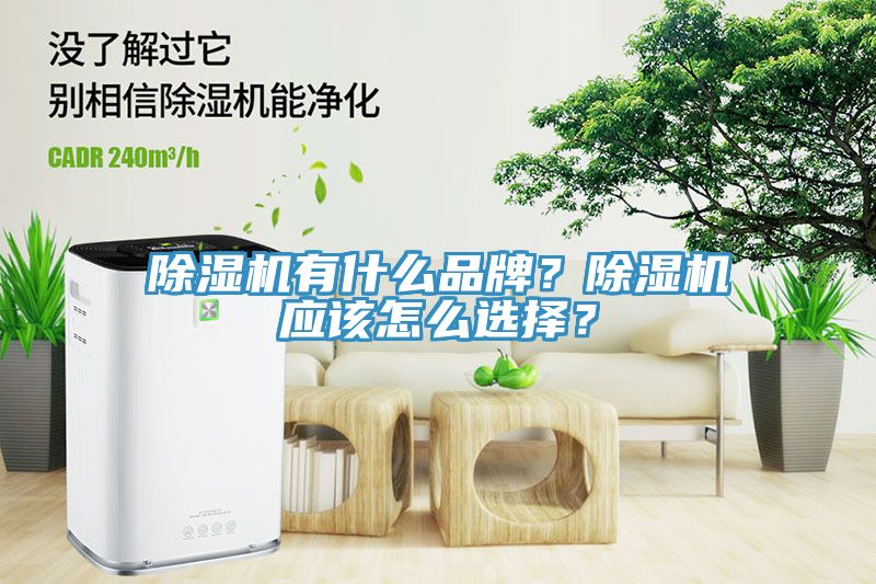 除湿机有什么品牌？除湿机应该怎么选择？