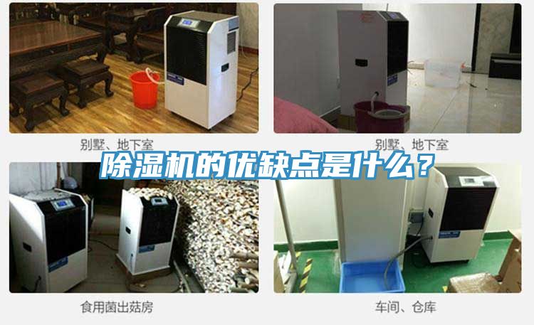 除湿机的优缺点是什么？