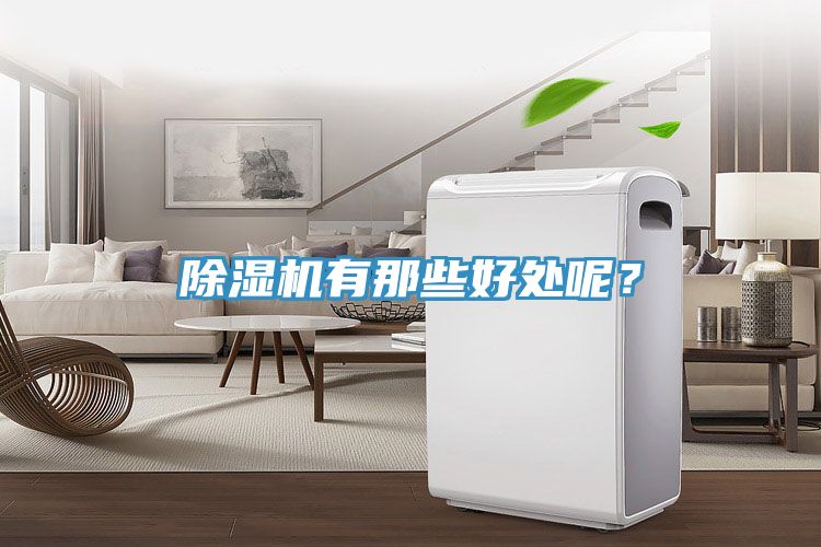 除濕機有那些好處呢？