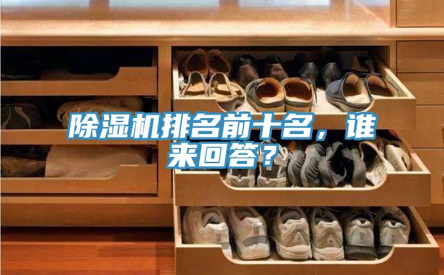 除湿机排名前十名，谁来回答？