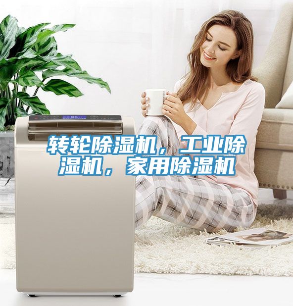 轉輪除濕機，工業(yè)除濕機，家用除濕機