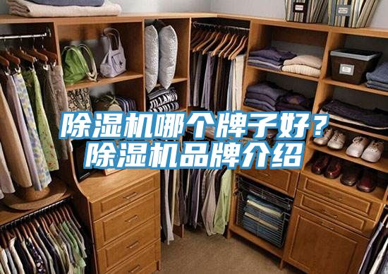 除湿机哪个牌子好？除湿机品牌介绍