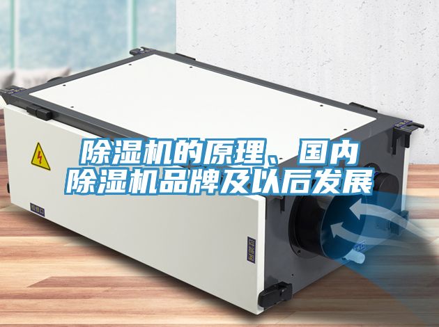 除濕機(jī)的原理、國內(nèi)除濕機(jī)品牌及以后發(fā)展