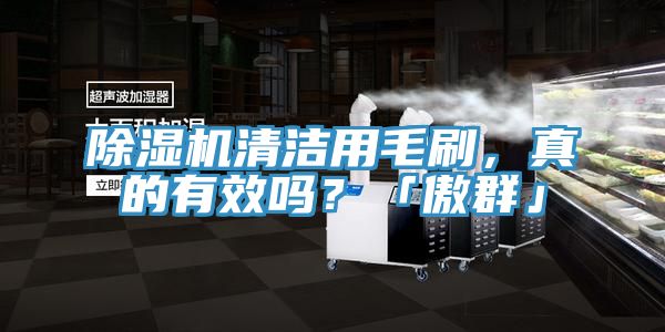 除濕機(jī)清潔用毛刷，真的有效嗎？「傲群」