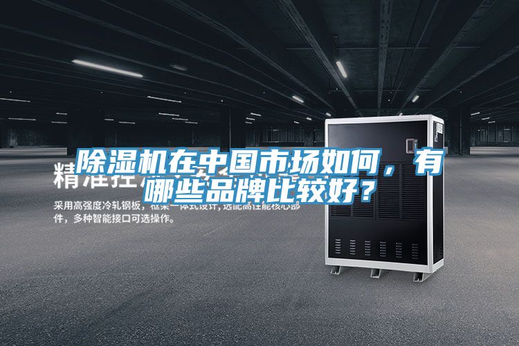 除湿机在中国市场如何，有哪些品牌比较好？