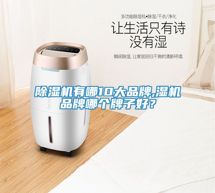 除湿机有哪10大品牌,湿机品牌哪个牌子好？