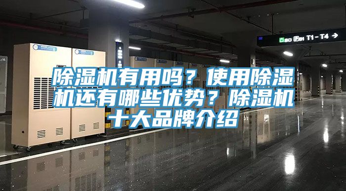 除湿机有用吗？使用除湿机还有哪些优势？除湿机十大品牌介绍
