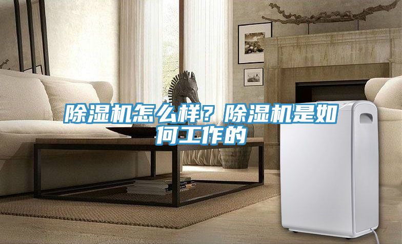 除濕機怎么樣？除濕機是如何工作的