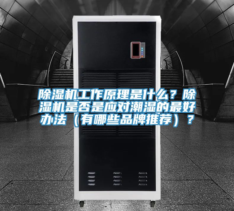 除湿机工作原理是什么？除湿机是否是应对潮湿的最好办法（有哪些品牌推荐）？