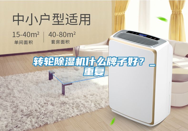 转轮除湿机什么牌子好？_重复