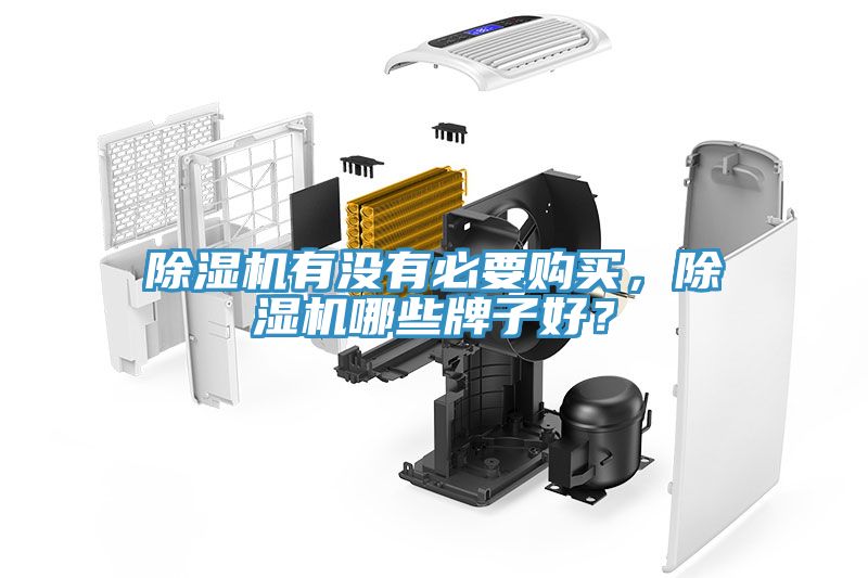 除濕機(jī)有沒有必要購(gòu)買，除濕機(jī)哪些牌子好？