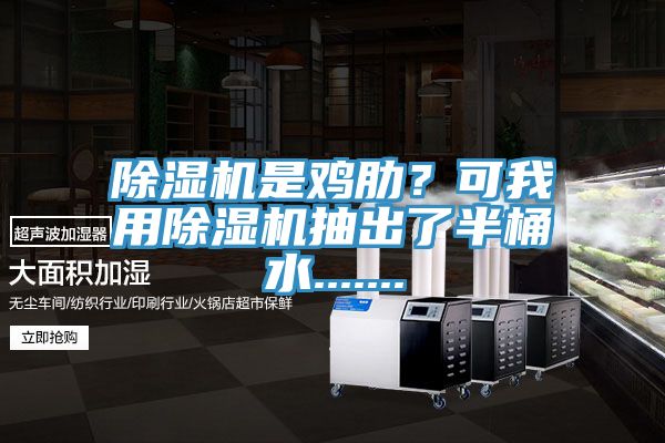 除湿机是鸡肋？可我用除湿机抽出了半桶水.......