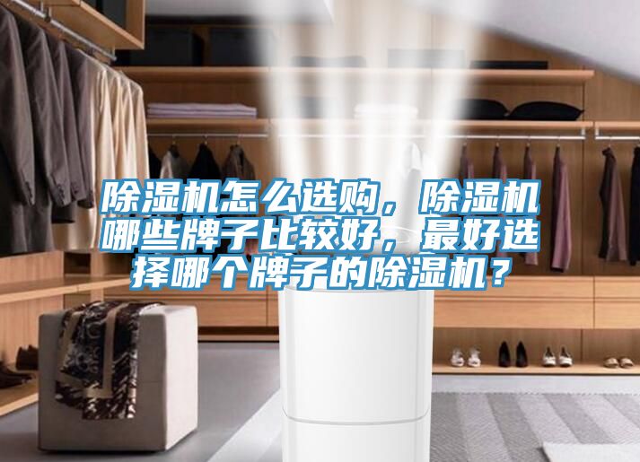 除濕機(jī)怎么選購(gòu)，除濕機(jī)哪些牌子比較好，最好選擇哪個(gè)牌子的除濕機(jī)？