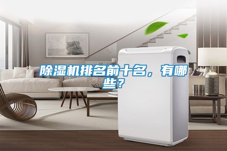除湿机排名前十名，有哪些？