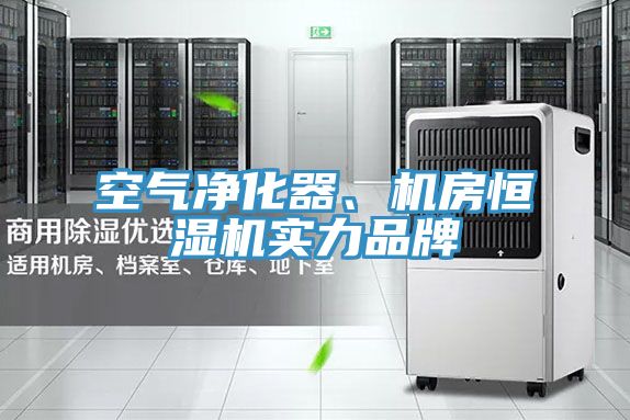 空气净化器、机房恒湿机实力品牌