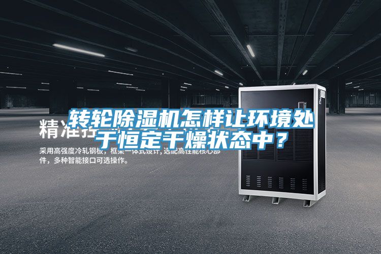 转轮除湿机怎样让环境处于恒定干燥状态中？