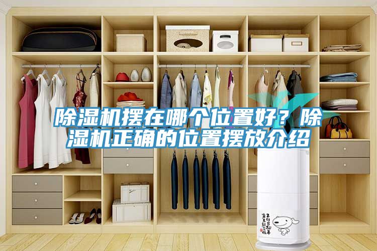 除湿机摆在哪个位置好？除湿机正确的位置摆放介绍