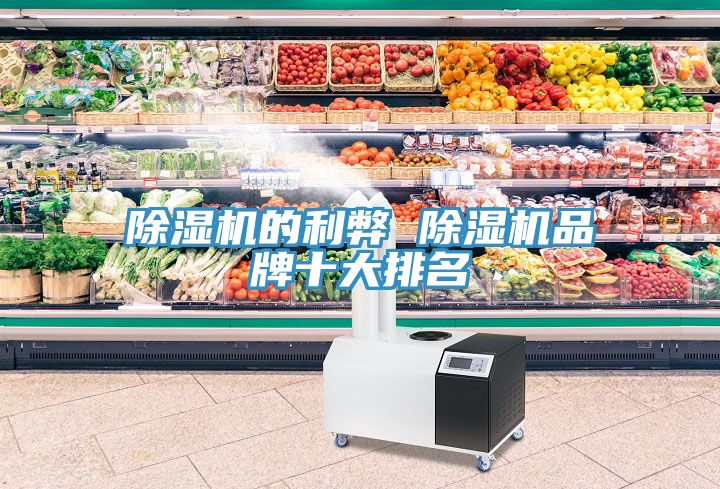 除湿机的利弊 除湿机品牌十大排名