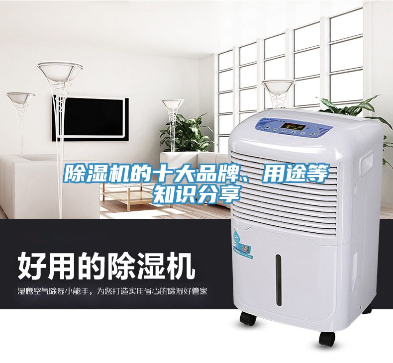 除濕機(jī)的十大品牌、用途等知識(shí)分享