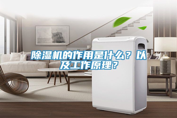 除湿机的作用是什么？以及工作原理？