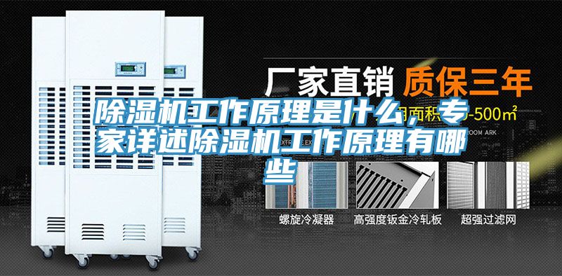 除湿机工作原理是什么，专家详述除湿机工作原理有哪些