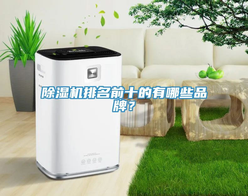 除湿机排名前十的有哪些品牌？
