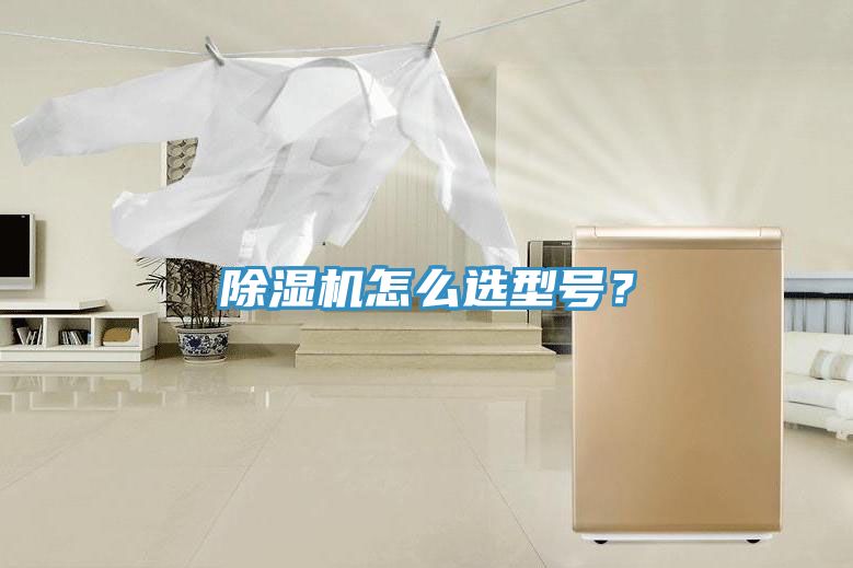 除濕機(jī)怎么選型號？
