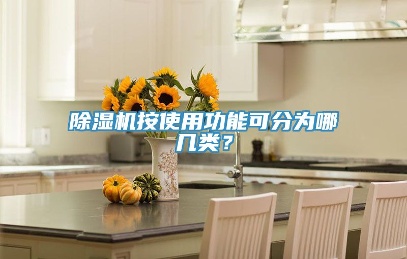除湿机按使用功能可分为哪几类？
