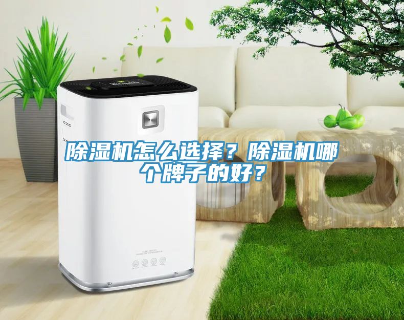 除濕機(jī)怎么選擇？除濕機(jī)哪個(gè)牌子的好？