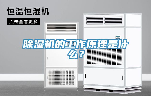除濕機(jī)的工作原理是什么？
